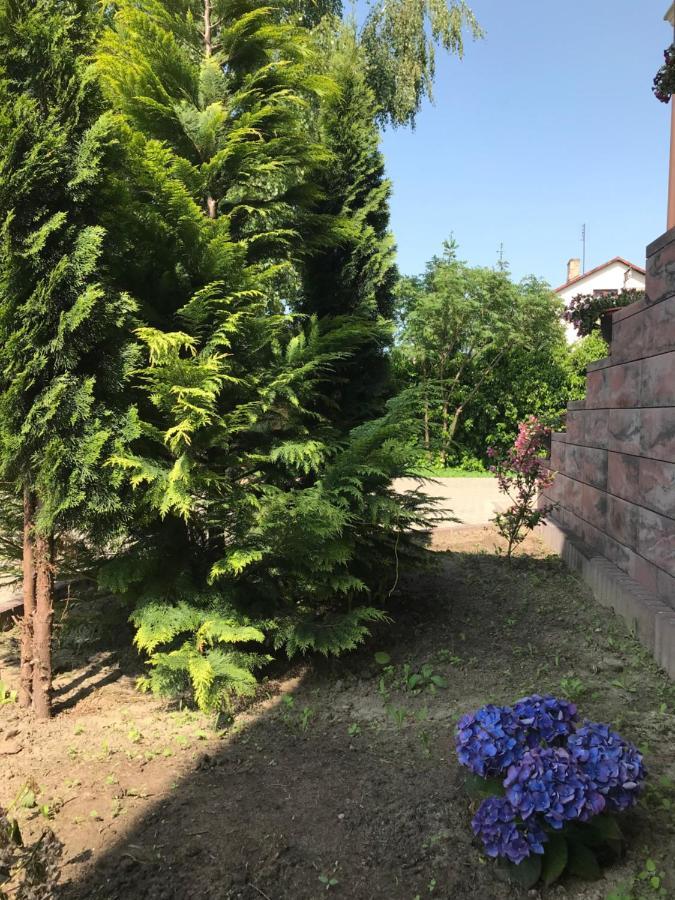 Noclegi Viva Mszczonów Esterno foto